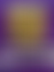 26 路易仕安那打吡日專帖