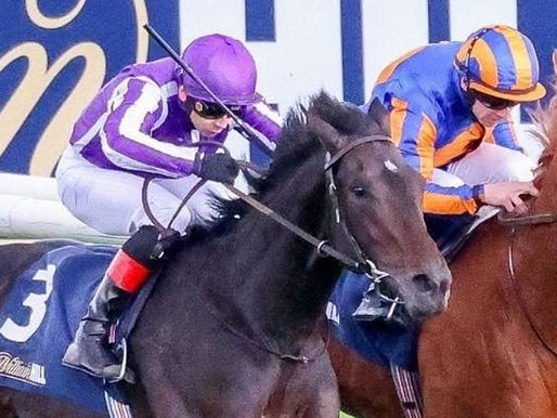 歐美新馬速遞 (26/10/25)