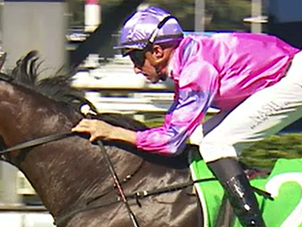 龍之光 方興未艾