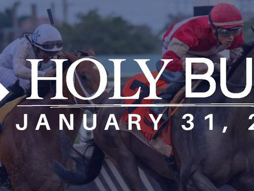 聖牛錦標 超奇電駿繼續搶分