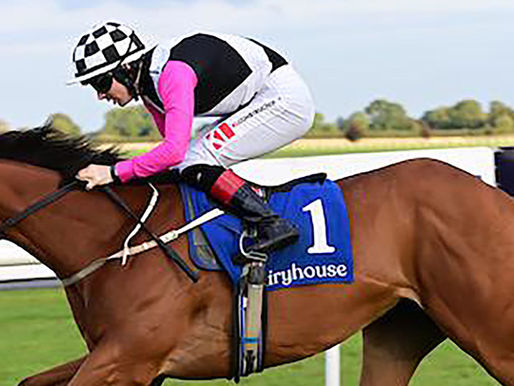 同樣美麗 血緣上乘