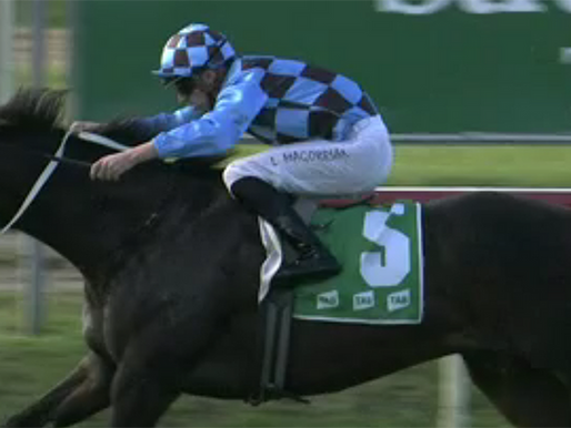 焦點 馬相標緻中距離良材