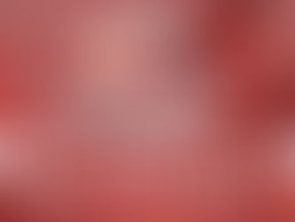 2023 杜拜世界盃尤達各場提供