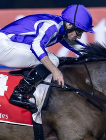 歐美新馬速遞 (01/03/26) 