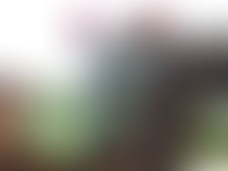 堅蘭開鑼日 華特又撲機票