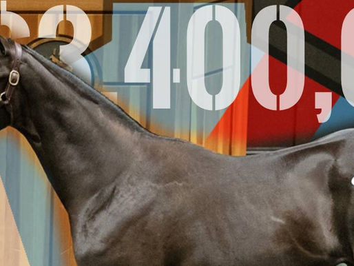 US$3.4M 狀元 巴富達又添新兵