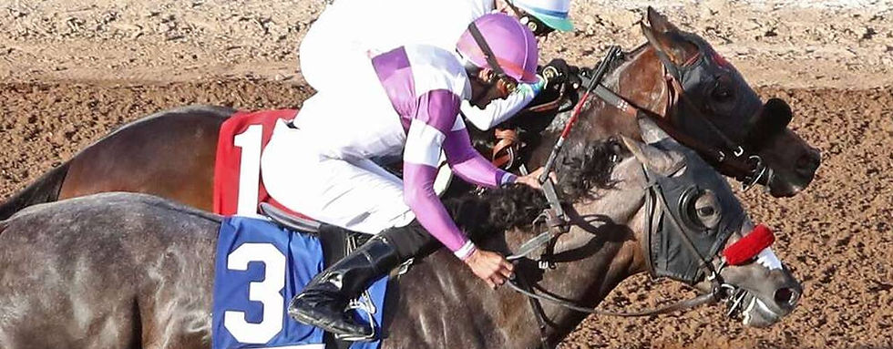 歐美新馬速遞 (15/02/26) 