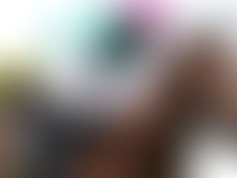 范高爾兄弟馬 奇高利終嘗首捷