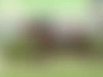 同舟共濟穩守尾門