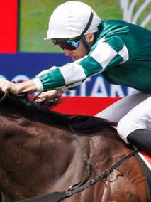 展雄志 身經百戰