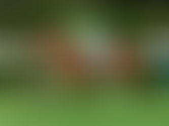 當家信心重溫舊夢