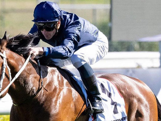 爵登 古摩亞棄卒再覓新天