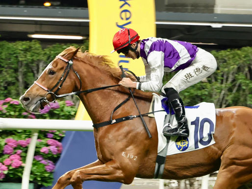 精彩生活狀態大勇