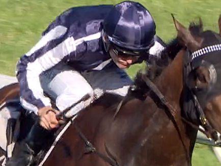 友運行 均速上乘 血統吸引