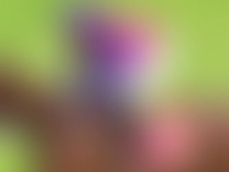 包裝戰仕 歐陸味濃