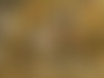 ‘24 杜拜世界盃夜專帖