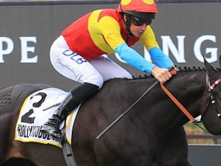 枕頭之星 欲蓋彌彰