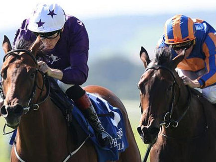 鳳凰錦標 勁力藍一放到底