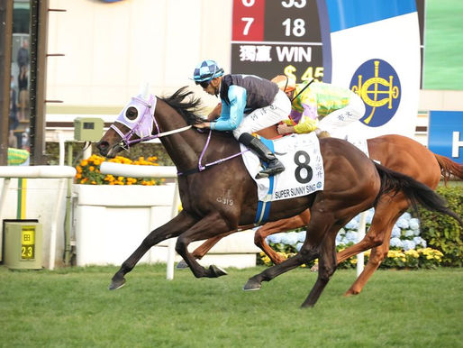 新力高升有分在手