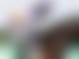 紫荊傳令 馬相標緻