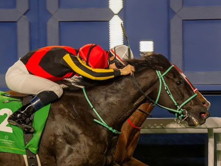 Japan first and second in 1351 Turf Sprint as Christophe Lemaire times it right