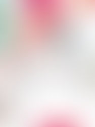 13-14/6 澳 / 法越洋賽事提供