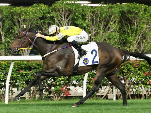 時尚風趣重遊勝途