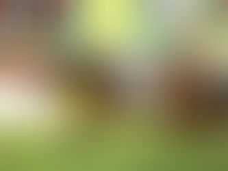 包裝智威重遊勝途