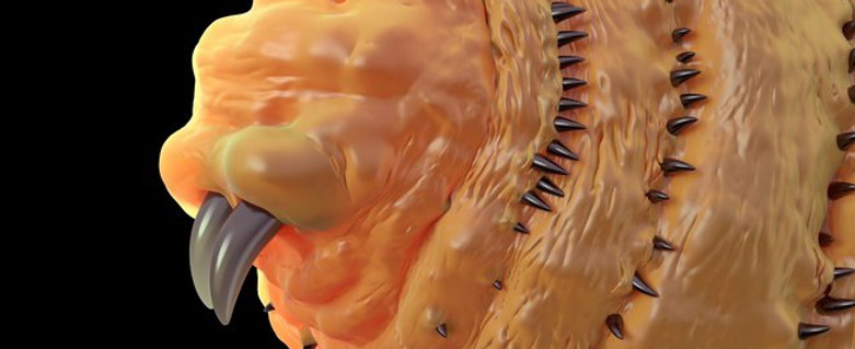 larva-da-miiase-pediatria.jpg