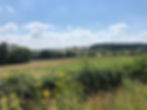 THE GREEN BELT IN CREWS HILL AND VICKERAGE FARM STUNNING ENFIELD NORTH LONDON