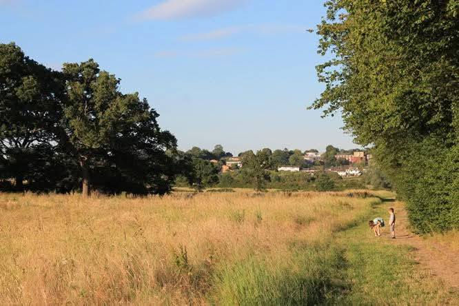 greenbelt crews hill enfield north london stunning productive land