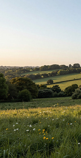 enfield greenbelt crews hill north london beautiful scenery