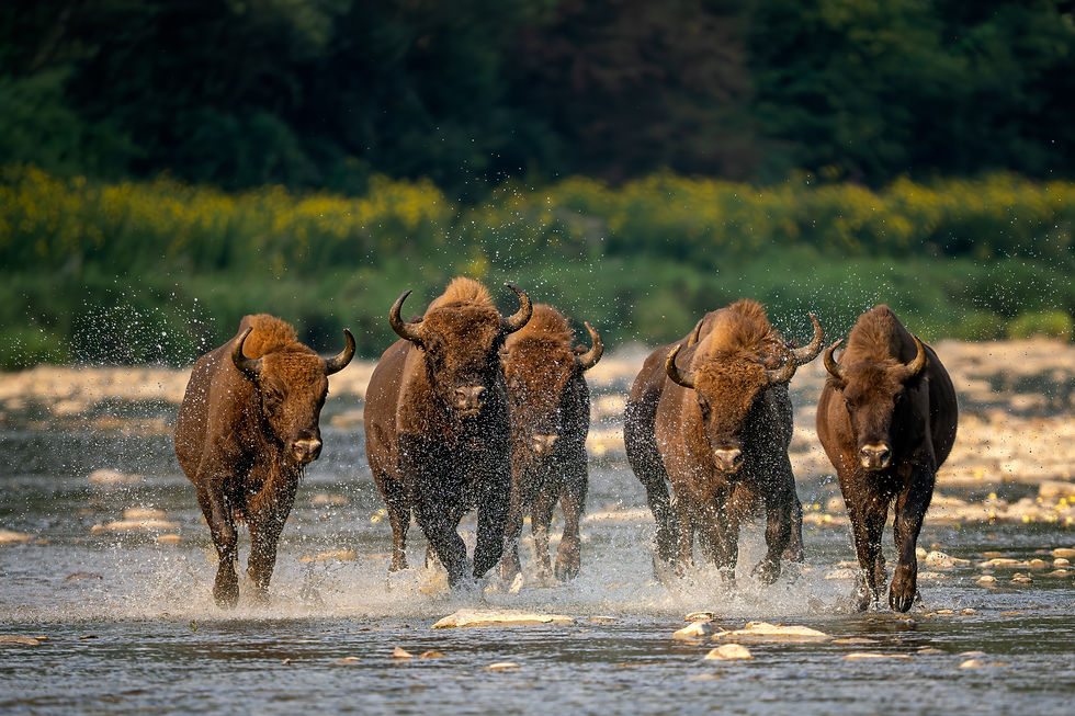 Bild: Shutterstock.com