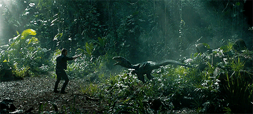 [Image: 7508db_833dc3829f544f69971d9c19ecd3357f~mv2.gif]