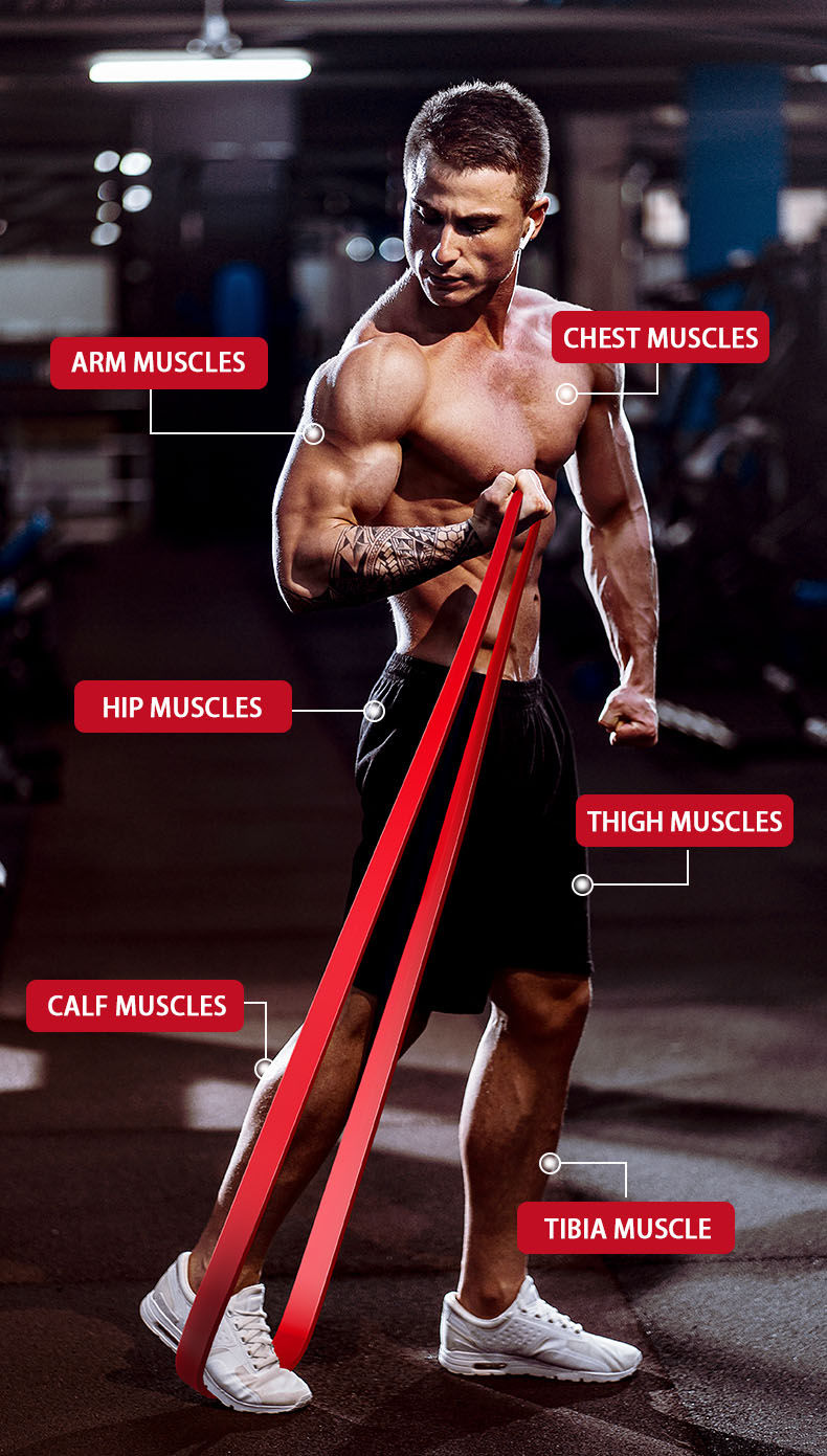 Miniatura: Resistance Band Set Pull Up Assistance Bands Stretch Band Resistance Heavy Worko