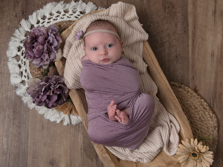 Newborn in purple by Greenville newborn photographer