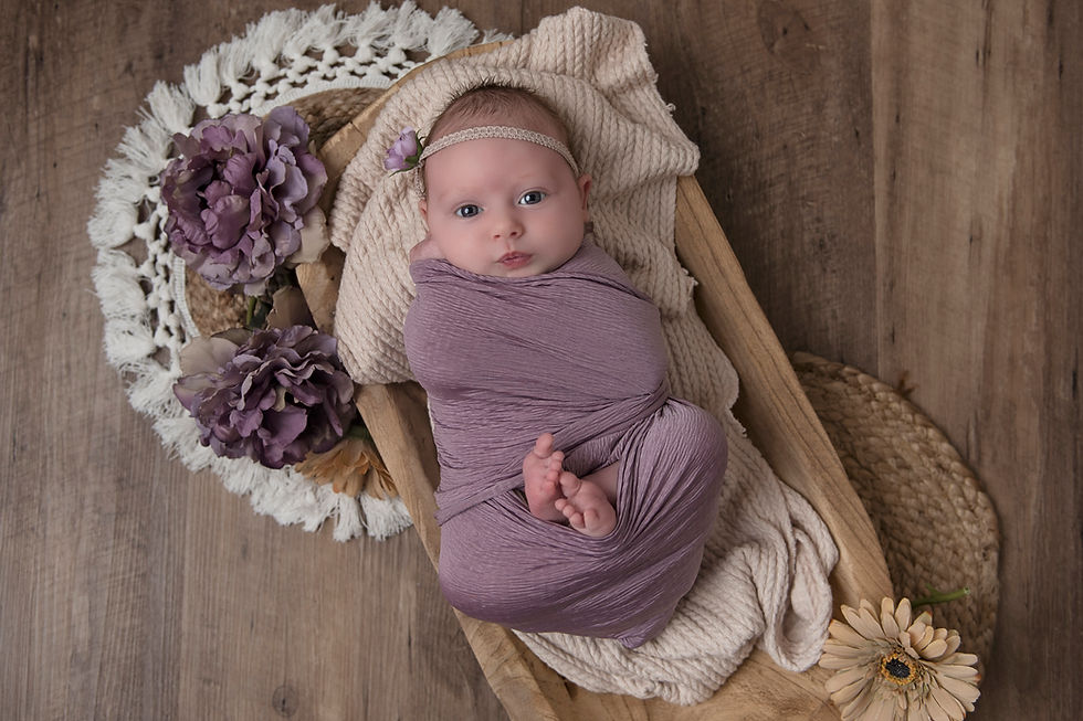 Newborn in purple by Greenville newborn photographer