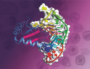 Center of Excellence in RNA Research and Therapeutics