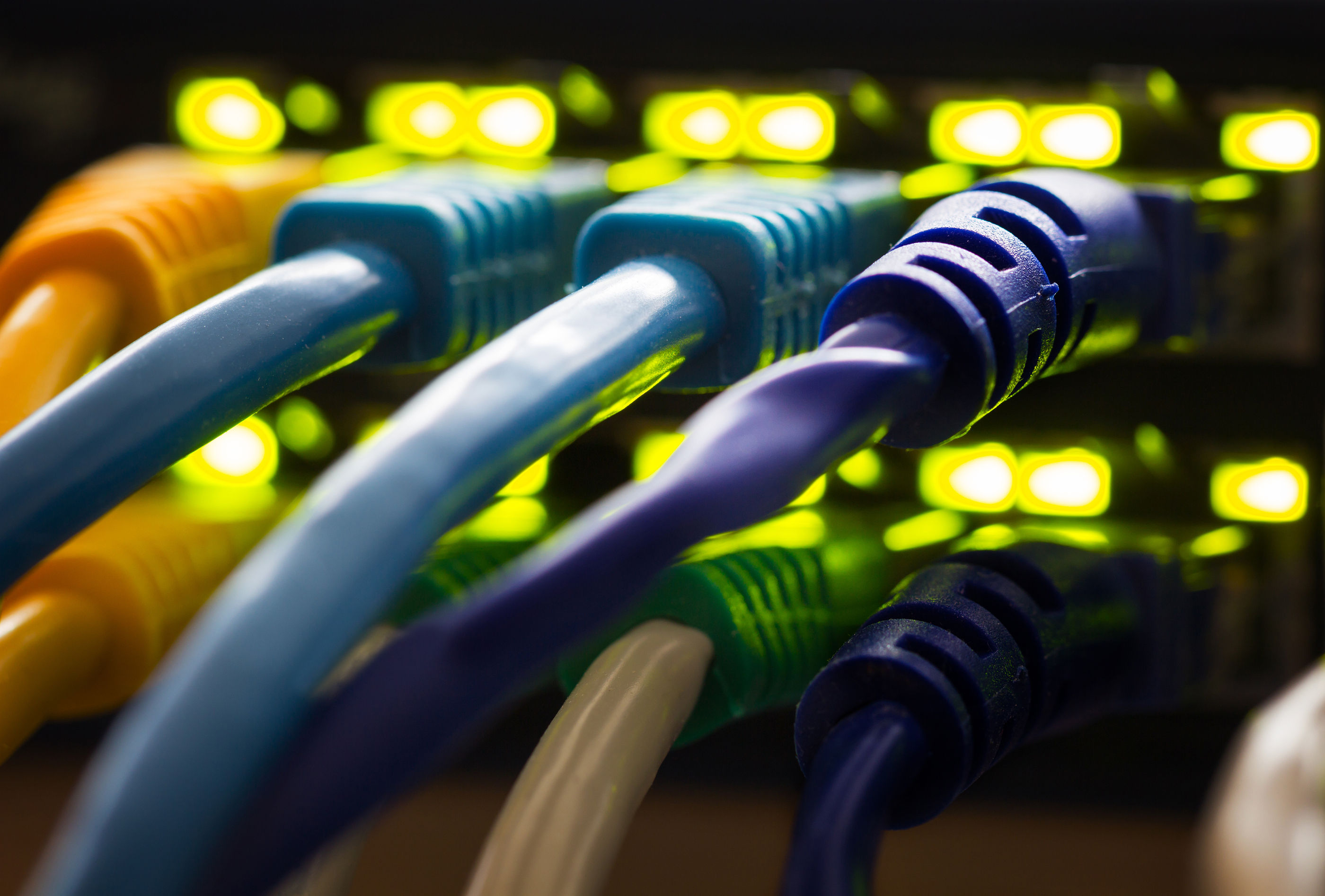 Corporate  Subscription to the Bentin Daily