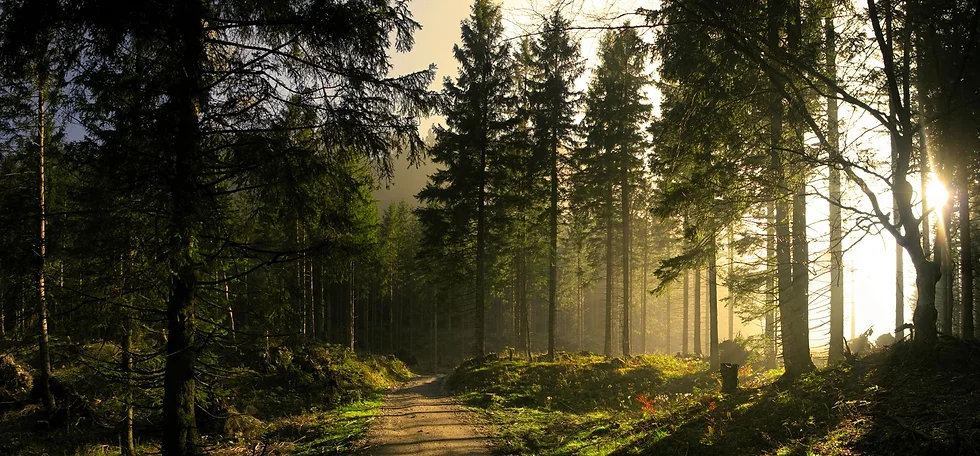 Home Naturalresources