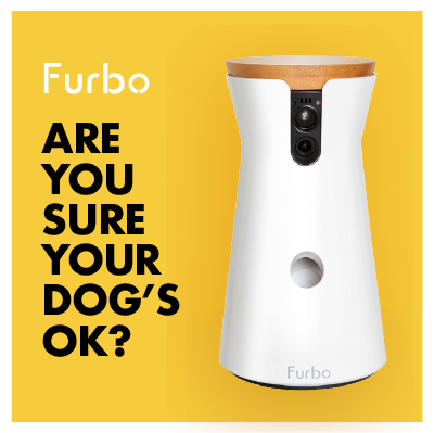 Furbo Instagram_3.png