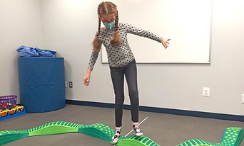 TLC Occupational Therapy Loudoun County Purcellville Virginia
