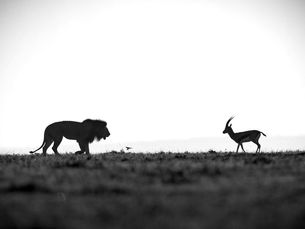 What Is Somatic Therapy?