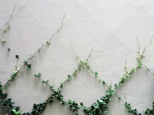 vines reaching upwards