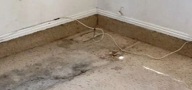Dirty Carpet