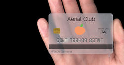 Aerial Club Card