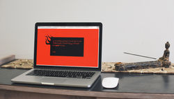 Webpage 2