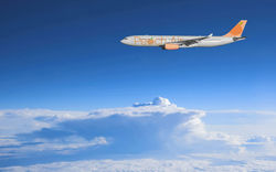 Peach Airline Plane