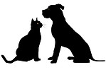 cat and dog