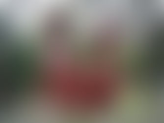 Monumento al gato del río